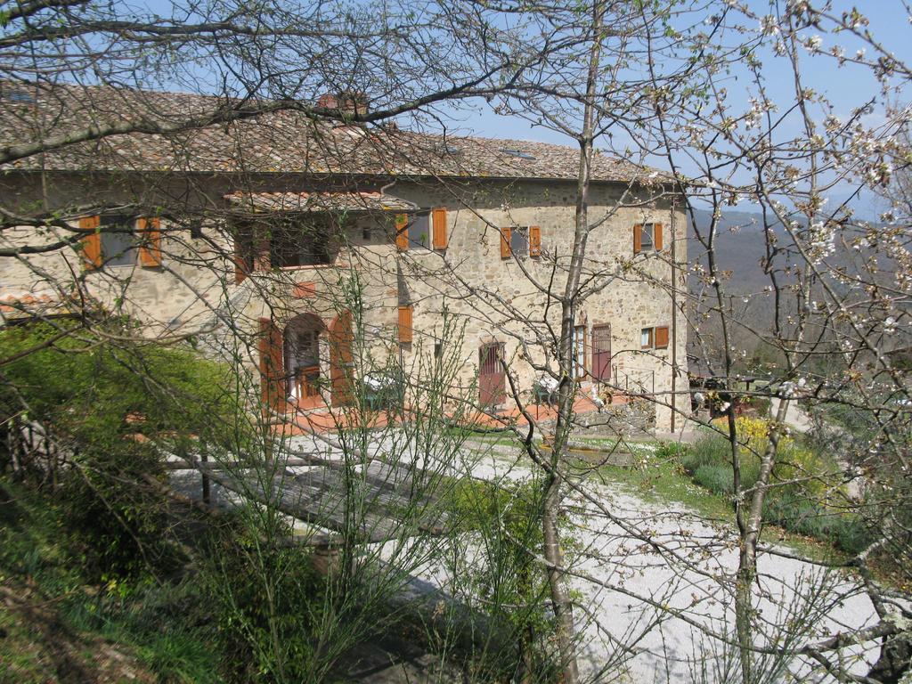 Lucolena in Chianti La Ghiandaia Casa Vacanza חדר תמונה