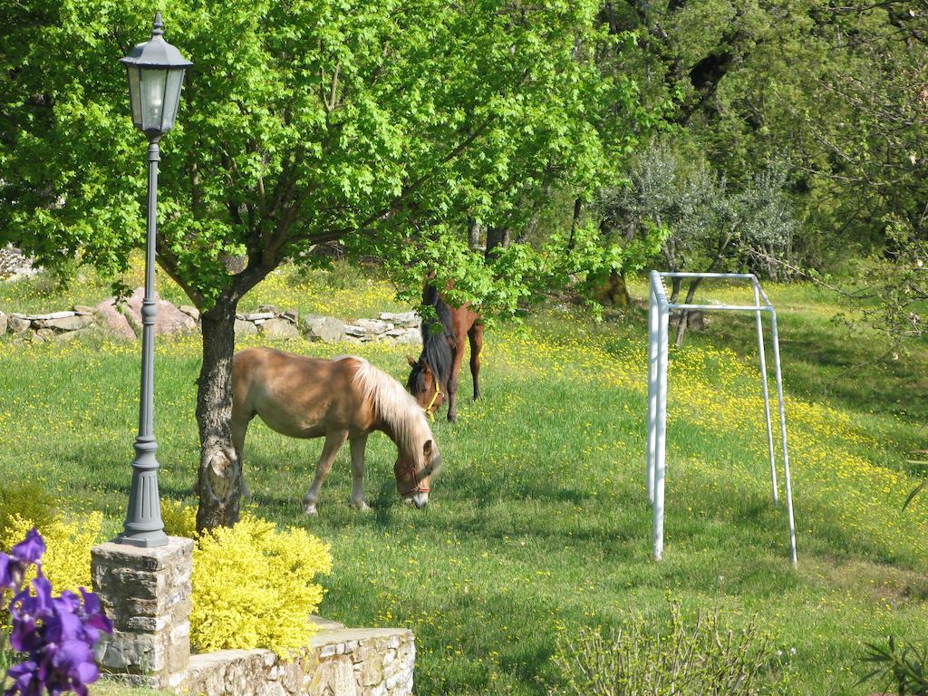 Lucolena in Chianti La Ghiandaia Casa Vacanza מראה חיצוני תמונה