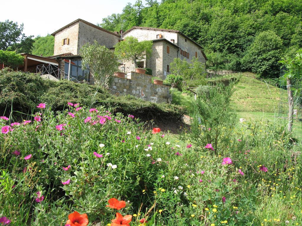 Lucolena in Chianti La Ghiandaia Casa Vacanza מראה חיצוני תמונה