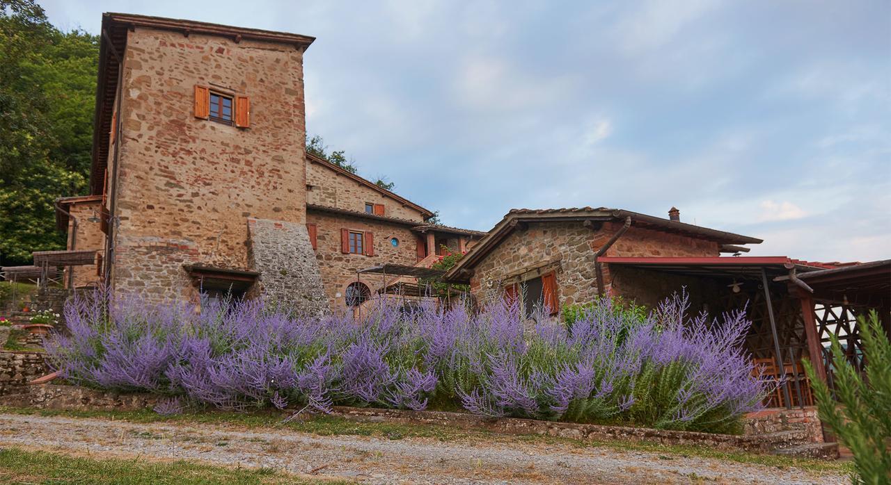 Lucolena in Chianti La Ghiandaia Casa Vacanza מראה חיצוני תמונה
